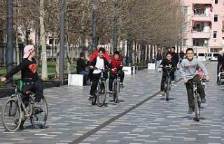 Sakarya’da şubat ayında bahardan kalma günler...