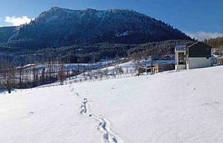 Sakarya’nın yüksek kesimleri yeniden karla buluştu