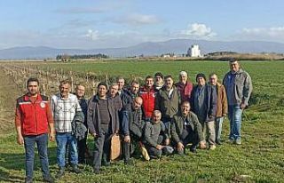 Salihli’de üreticilere budama ve gübreleme eğitimi