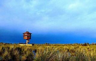 Samsun’da tabiat parklarını 186 bin 271 kişi...