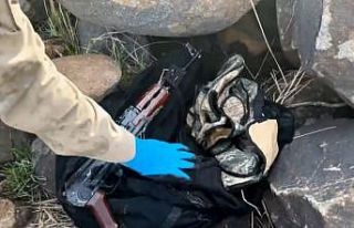 Şanlıurfa’da silah kaçakçılığı operasyonu:...