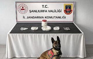 Şanlıurfa’da uyuşturucu operasyonu: 1 gözaltı