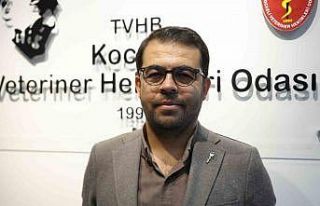 Şap hastalığıyla mücadele aşılama programı...