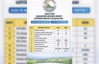 Saraydüzü köylerinde hizmet seferberliği