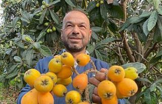 Sarı altın erken geldi: Yenidünya mart ayını...