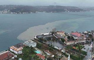 Sarıyer Baltalimanı sahilindeki kirlilik havadan...