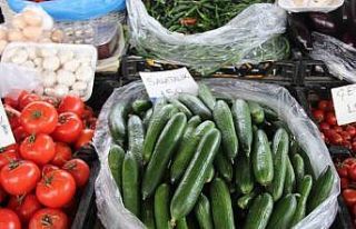 Seralar zarar gördü, Muğla’da salatalık rekor...