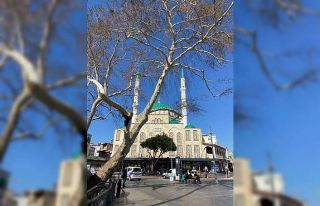 Serik’in nüfusu 147 bin 62’ye yükseldi