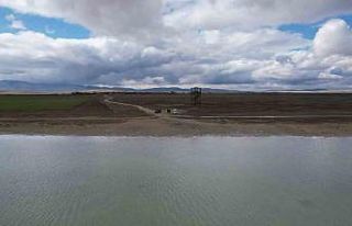 Seyfe Gölü’nde flamingo cümbüşü havadan görüntülendi