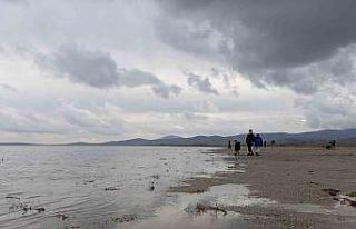 Seyfe Gölü’nde sevindiren gelişme: Su seviyesi...