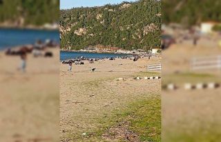 Sıcaklığın 28 dereceye çıktığı Bartın’da...