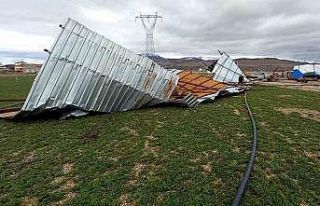 Şiddetli rüzgar ahırın çatısını uçurdu