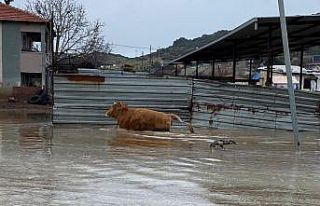 Şiddetli yağışlar Kula’da taşkınlara yol açtı