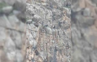 Siirt’te kayalıklarda 4 gündür mahsur kalan 2...