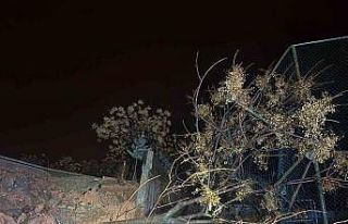 Siirt’te okulun istinat duvarı çöktü, iki okulda...