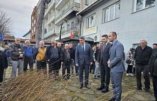 Sinop’ta 900 fırıncık armudu fidanı dağıtıldı