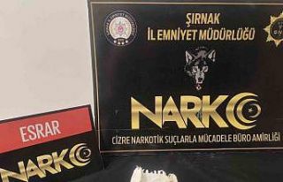 Şırnak’ta 17,8 milyonluk kaçak ürün ele geçirildi:...