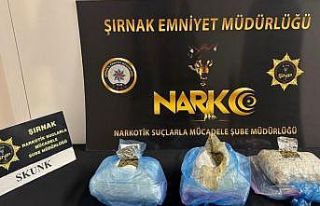 Şırnak’ta asayiş, narkotik ve kaçakçılık...
