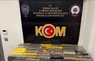 Şırnak’ta asayiş, narkotik ve kaçakçılık...