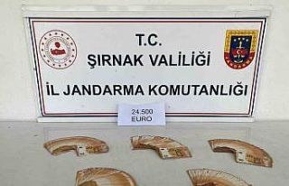 Şırnak’ta jandarmadan kaçakçılığa büyük...
