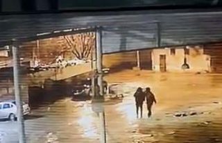 Siverek’te 19 koyun çalındı: Hırsızlık anı...