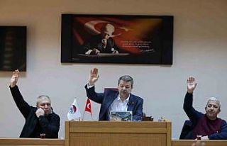 Söğüt’te şubat ayı meclis toplantısı gerçekleştirildi