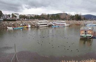 Son yağışlar Beyşehir Gölü’ne can suyu oldu