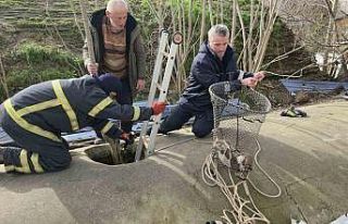 Su deposuna düşen yavru köpek 6 saat sonra kurtarıldı