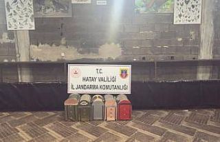 Süs Kanatlı Sokak Hayvanları Koruma Derneği’nde...