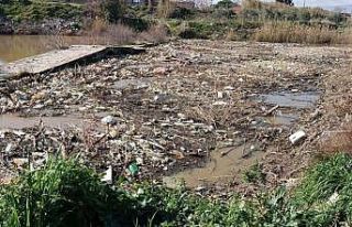 Tarihi taş köprü temizlendi, doğaseverler "yüzer...