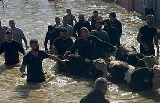 Taşan Gediz Nehri dolayısıyla mahsur kalan 44 kişi...
