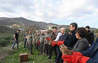 Tedavisi tamamlanan yırtıcı kuşlar özgürlüğe...