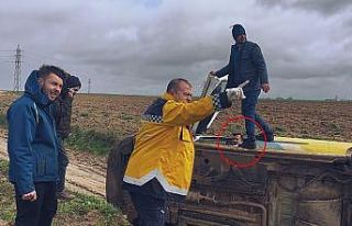 Tekirdağ’da PTT kargo aracı devrildi: 1 yaralı