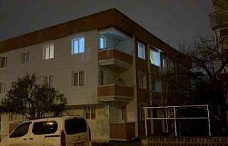 Telefonla yüksel sesle konuşma kavgasında ablasını...