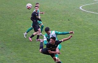 TFF 3. Lig: Amasyaspor FK: 2 - Çayelispor: 0