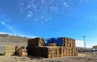 Tokat’ta elektrik akımına kapılan genç son yolculuğuna...