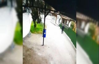 Tokat’ta fırtınanın devirdiği ağacın altında...