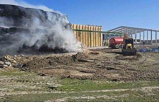 Tonlarca mısır balyası yandı