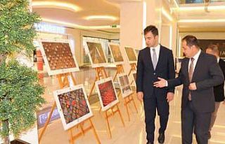 Toprak, emek ve insan aynı karede buluştu