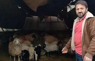 Trabzon’da ilginç görüntüler