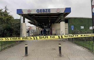 Tren istasyonundaki kadın cinayetine ilişkin yeni...