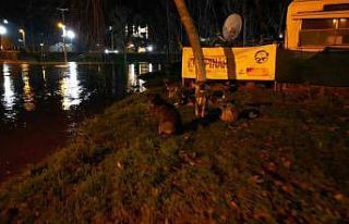 Tunca Nehri taştı: Suyla dolan Sarayiçi güreş...