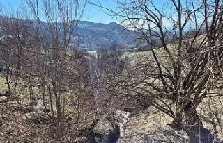 Tunceli’de heyelan tedbirleri: 19 konuttan 7’si...