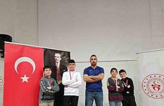 Türkeli, satrançta il şampiyonu oldu