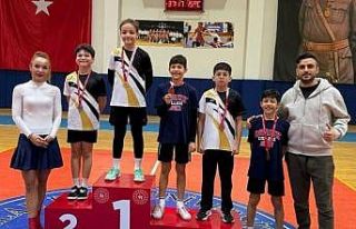 Türkiye Cimnastik Federasyonu’nun alt branşı...