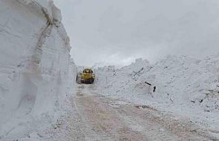 Türkiye-İran sınır hattında karla mücadele çalışması