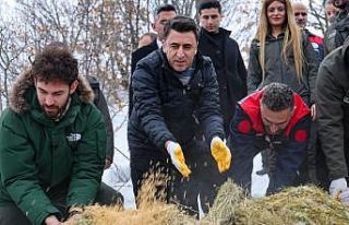 Vali Aygöl, yaban hayvanları için sahada