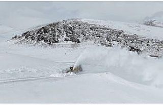 Van’da 53 yerleşim yerinin yolu kapalı