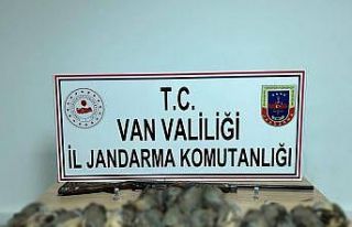 Van’da keklik avına 87 bin TL idari para cezası