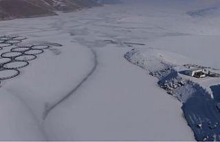 Van’da Sibirya soğukları: Dev barajlar buz tuttu